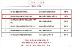 捷報連連 | 中譽(yù)鼎力再獲兩項技術(shù)類榮譽(yù)！